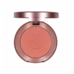 Fard de obraz / Blush O TWO O Powder Blush + pensula 04