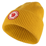 1960 Logo Hat