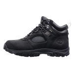 Mt. Major Mid Leather GTX