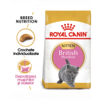 Royal Canin British Shorthair Kitten hrana uscata pisica junior, 400 g