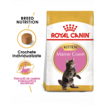 Royal Canin Maine Coon Kitten hrana uscata pisica junior, 10 kg