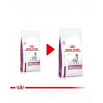 ROYAL CANIN VHN Dog Mobility Support 2 kg hrana dietetica pentru caini adulti cu afectiuni articulare