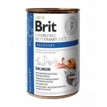 BRIT Veterinary Diet Recovery Salmon hrana refacere pentru caini si pisici 24x400 g
