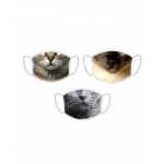 FERA Masti faciale de protectie x3 rase pisici