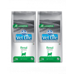 FARMINA Vet Life Renal Cat 2x10 kg dieta pisici pentru sustinere functie renala