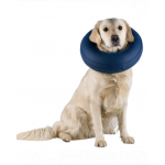 TRIXIE Guler protector caini, gonflabil, M–L