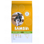 IAMS ProActive Health Puppy &amp; Junior Small &amp; Medium Breed Chicken 3 kg
