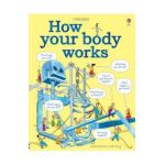 How Your Body Works