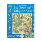 Big Book of Things to Spot - Ruth Brocklehurst