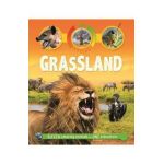 Life Cycles: Grassland