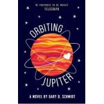 Orbiting Jupiter