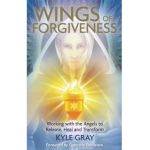 Wings of Forgiveness - Kyle Gray