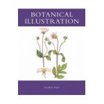 Botanical Illustration