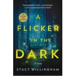 A Flicker in the Dark - Stacy Willingham