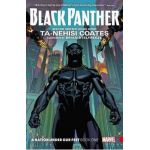 Black Panther: A Nation Under Our Feet Book 1