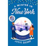 A Winter in New York - Josie Silver