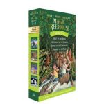 Magic Tree House Volumes 5-8 Boxed Set - Mary Pope Osborne
