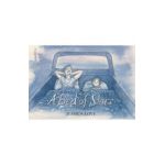 A Bed of Stars - Jessica Love