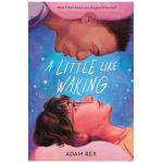 A Little Like Waking - Adam Rex