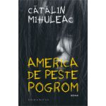 America de peste pogrom | Catalin Mihuleac