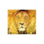 The Lion & the Mouse - Jerry Pinkney