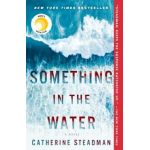 Something in the Water - Catherine Steadman