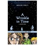 A Wrinkle in Time: The Graphic Novel - Madeleine L'engle