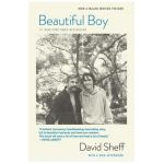 Beautiful Boy (Tie-In): A Father's Journey Through His Son's Addiction - David Sheff