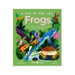 Frogs (a Day in the Life): What Do Frogs, Toads, and Tadpoles Get Up to All Day? - Itzue W. Caviedes-solis
