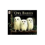 Owl Babies - Martin Waddell