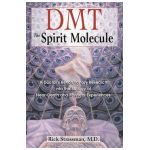 DMT : the Spririt Molecule