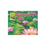 A Dragonfly's Life - Ellen Lawrence