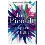 A Spark of Light - Jodi Picoult