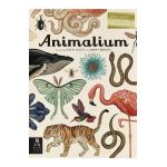 Animalium: Welcome to the Museum - Jenny Broom