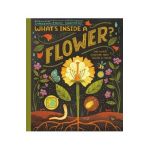 What's Inside a Flower?: And Other Questions about Science & Nature - Rachel Ignotofsky