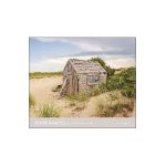 Dune Shacks of Provincetown - Jane Paradise