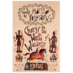 Charis in the World of Wonders: A Novel Set in Puritan New England - Marly Youmans