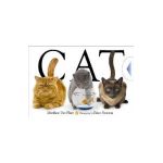 Cat - Matthew Van Fleet