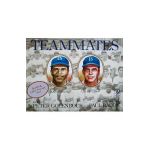 Teammates - Peter Golenbock