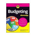 Budgeting for Dummies - Athena Valentine Lent