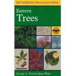 A Field Guide to Eastern Trees: Eastern United States and Canada, Including the Midwest - Roger Tory Peterson
