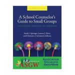 A School Counselor's Guide to Small Groups: Coordination, Leadership, and Assessment - Sarah I. Springer