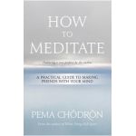 How to Meditate: A Practical Guide to Making Friends with Your Mind - Pema Ch&#65533;dr&#65533;n