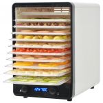 vidaXL Deshidrator de alimente cu 10 tăvi, 550 W, alb
