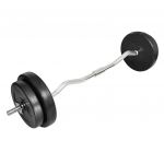vidaXL Bară ondulată cu greutăți, 30 kg