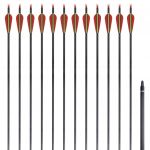 Săgeți standard arc recurv 30" 0,76 cm carbon 12 buc.