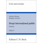 Drept international public | Adrian Nastase, Bogdan Aurescu