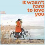 It Wasn't Hard To Love You - Vinyl | Fanfare Ciocarlia