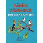 Pasari salbatice din tara noastra | Daniela Dosa