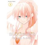 Shikimori's Not Just a Cutie - Volume 3 | Keigo Maki